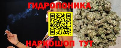 сатива Свободный