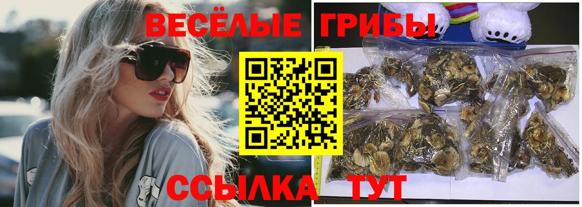 Псилоцибиновые грибы Psilocybe Сафоново