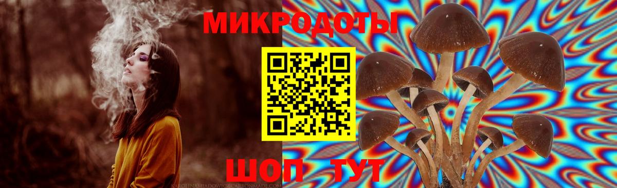 Сафоново  Галлюциногенные грибы Psilocybine cubensis  Псилоцибиновые грибы GOLDEN TEACHER  как найти   Вход с VPN 
